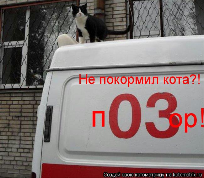 Не покормил кота?! п ор!... Котоматрица: Не покормил кота?! п ор!