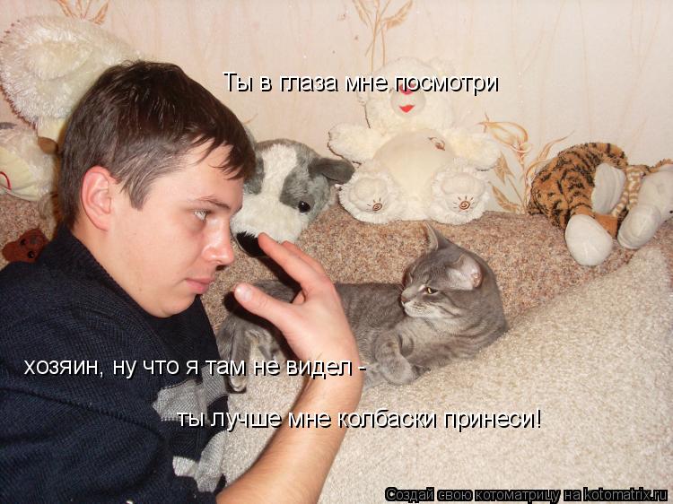 Ты в глаза мне посмотри хозяин, ну что я там не видел - ты лучше мне колбаски принеси!... Котоматрица: Ты в глаза мне посмотри хозяин, ну что я там не видел - ты лучше мне колбаски принеси!