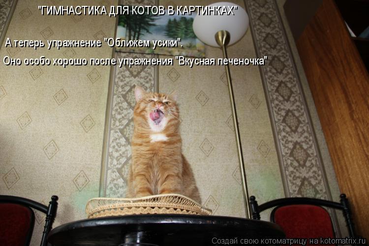 Оно особо хорошо после упражнения "Вкусная печеночка" А теперь упражнение "Оближем усики". "ГИМНАСТ... Котоматрица: Оно особо хорошо после упражнения "Вкусная печеночка" А теперь упражнение "Оближем усики". "ГИМНАСТИКА ДЛЯ КОТОВ В КАРТИНКАХ"