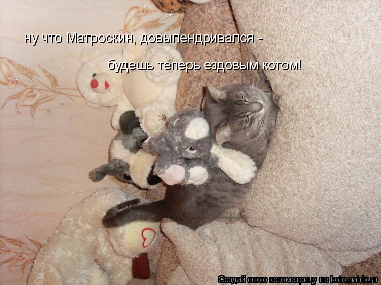 ну что Матроскин, довыпендривался - будешь теперь ездовым котом!... Котоматрица: ну что Матроскин, довыпендривался - будешь теперь ездовым котом!
