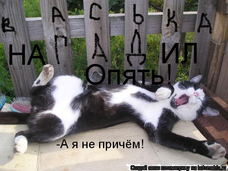 НА ИЛ Опять! -А я не причём!... Котоматрица: НА ИЛ Опять! -А я не причём!