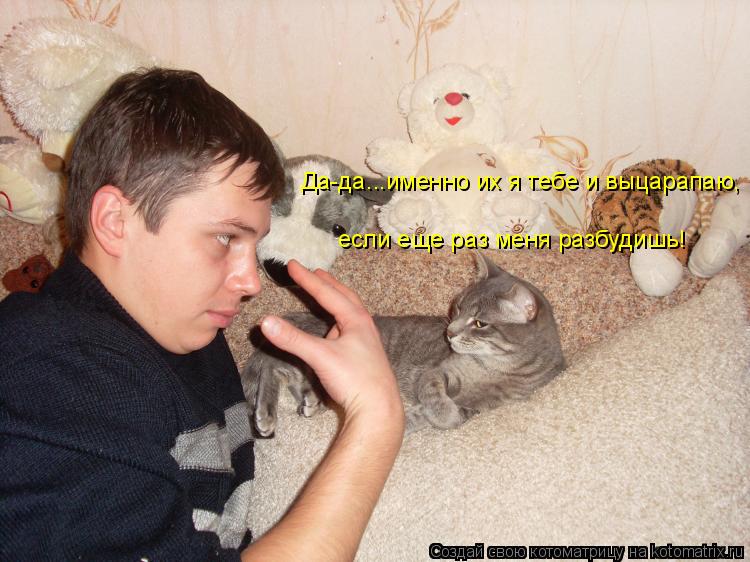 Да-да...именно их я тебе и выцарапаю, если еще раз меня разбудишь!... Котоматрица: Да-да...именно их я тебе и выцарапаю, если еще раз меня разбудишь!