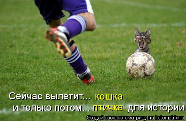 Сейчас вылетит... и только потом... для истории птичка кошка... Котоматрица: Сейчас вылетит... и только потом... для истории птичка кошка