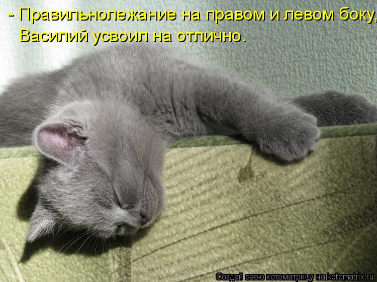 - Правильнолежание на правом и левом боку, Василий усвоил на отлично.... Котоматрица: - Правильнолежание на правом и левом боку, Василий усвоил на отлично.