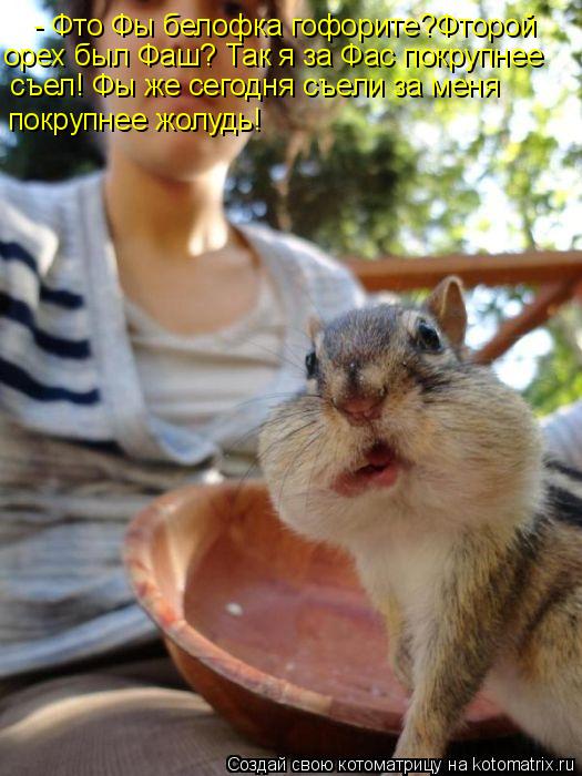 - Фто Фы белофка гофорите?Фторой орех был Фаш? Так я за Фас покрупнее съел! Фы же сегодня съели за м... Котоматрица: - Фто Фы белофка гофорите?Фторой орех был Фаш? Так я за Фас покрупнее съел! Фы же сегодня съели за меня покрупнее жолудь!