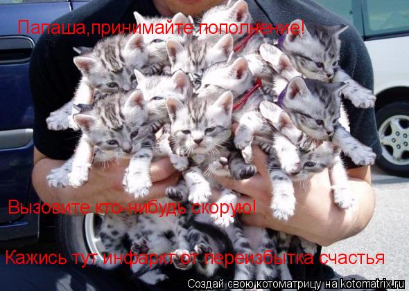 Папаша,принимайте пополнение! Вызовите кто-нибудь скорую! Кажись тут инфаркт от переизбытка счастья... Котоматрица: Папаша,принимайте пополнение! Вызовите кто-нибудь скорую! Кажись тут инфаркт от переизбытка счастья