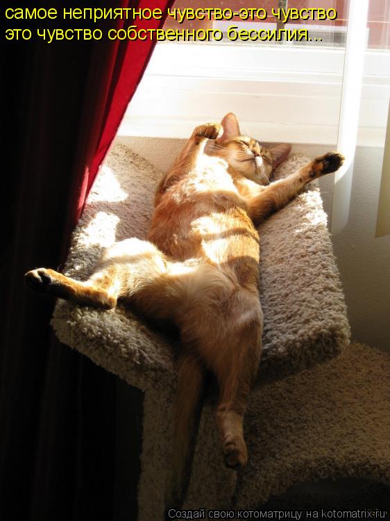 самое неприятное чувство-это чувство это чувство собственного бессилия...... Котоматрица: самое неприятное чувство-это чувство это чувство собственного бессилия...