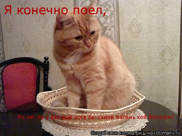 Я конечно поел, Но нет ли у вас ещё хотя бы самой малень кой булочки?... Котоматрица: Я конечно поел, Но нет ли у вас ещё хотя бы самой малень кой булочки?