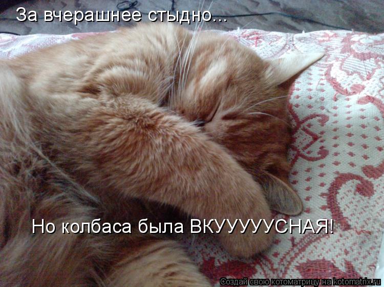 За вчерашнее стыдно... Но колбаса была ВКУУУУУСНАЯ!... Котоматрица: За вчерашнее стыдно... Но колбаса была ВКУУУУУСНАЯ!