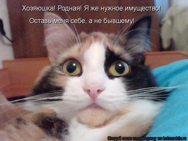 Хозяюшка! Родная! Я же нужное имущество! Оставь меня себе, а не бывшему!... Котоматрица: Хозяюшка! Родная! Я же нужное имущество! Оставь меня себе, а не бывшему!