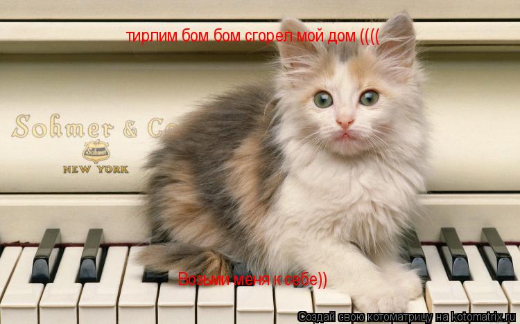 тирлим бом бом сгорел мой дом (((( Возьми меня к себе))... Котоматрица: тирлим бом бом сгорел мой дом (((( Возьми меня к себе))