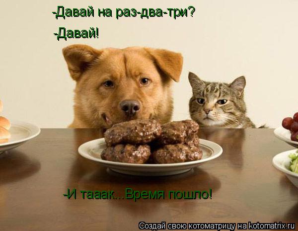 -Давай на раз-два-три? -Давай! -И тааак...Время пошло!... Котоматрица: -Давай на раз-два-три? -Давай! -И тааак...Время пошло!