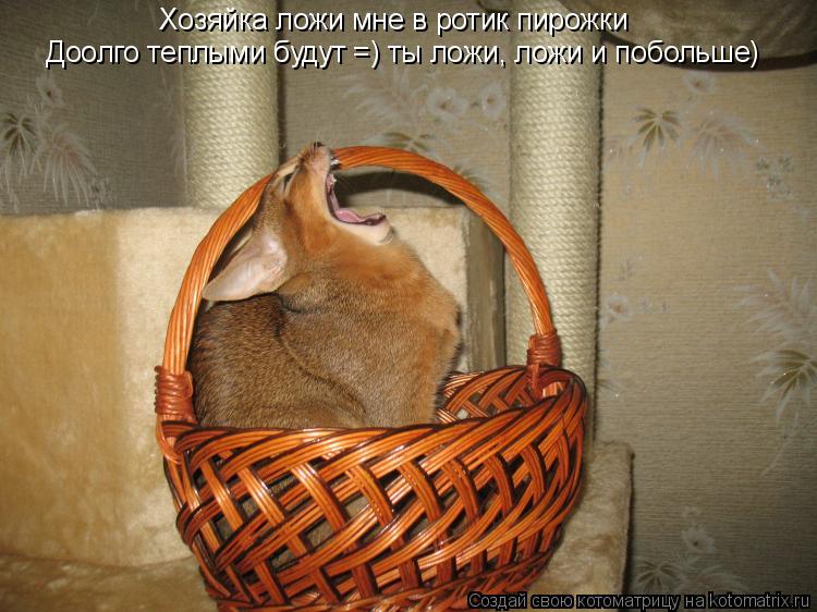 Хозяйка ложи мне в ротик пирожки Доолго теплыми будут =) ты ложи, ложи и побольше)... Котоматрица: Хозяйка ложи мне в ротик пирожки Доолго теплыми будут =) ты ложи, ложи и побольше)