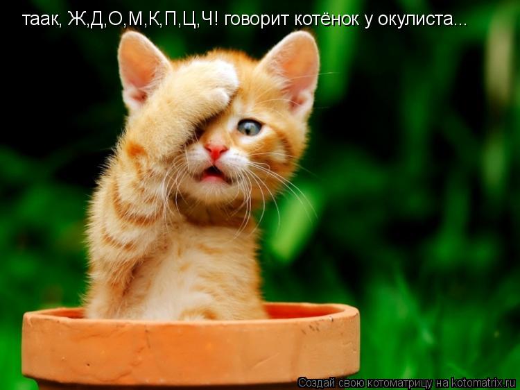 таак, Ж,Д,О,М,К,П,Ц,Ч! говорит котёнок у окулиста...... Котоматрица: таак, Ж,Д,О,М,К,П,Ц,Ч! говорит котёнок у окулиста...