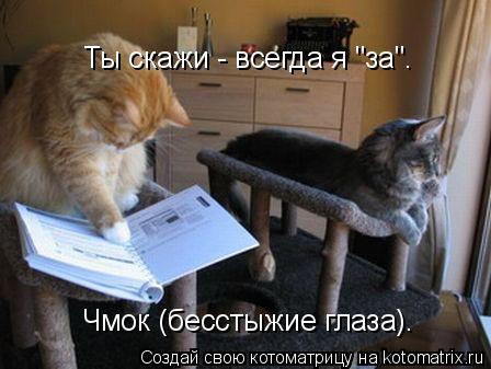 Ты скажи - всегда я "за". Чмок (бесстыжие глаза).... Котоматрица: Ты скажи - всегда я "за". Чмок (бесстыжие глаза).