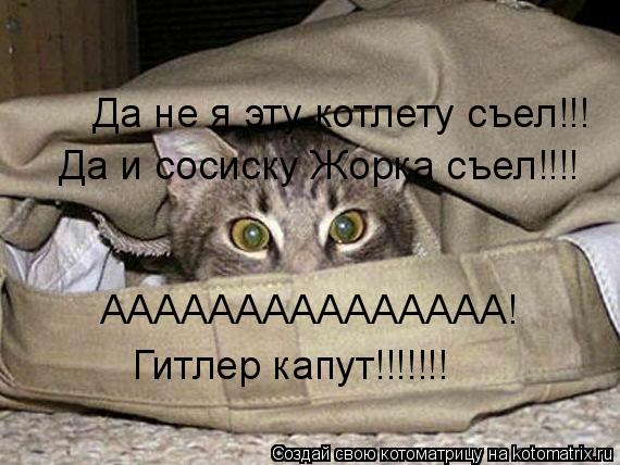 Да не я эту котлету съел!!! Да и сосиску Жорка съел!!!! ААААААААААААААА! Гитлер капут!!!!!!!... Котоматрица: Да не я эту котлету съел!!! Да и сосиску Жорка съел!!!! ААААААААААААААА! Гитлер капут!!!!!!!