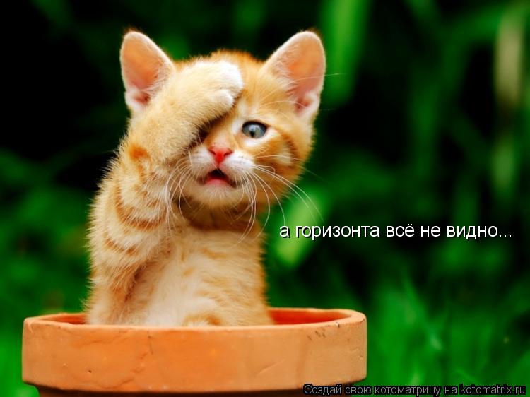 а горизонта всё не видно...... Котоматрица: а горизонта всё не видно...