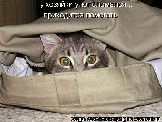 у хозяйки утюг сломался... приходится помогать... Котоматрица: у хозяйки утюг сломался... приходится помогать