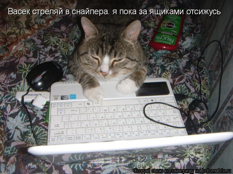Васек стреляй в снайпера. я пока за ящиками отсижусь... Котоматрица: Васек стреляй в снайпера. я пока за ящиками отсижусь