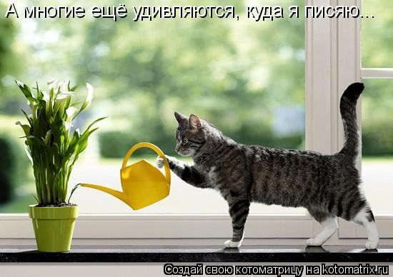 А многие ещё удивляются, куда я писяю...... Котоматрица: А многие ещё удивляются, куда я писяю...