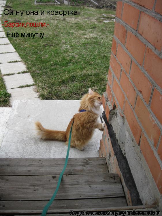 Ой ну она и красртка! -Барсик,пошли.- - Ещё минутку.- - Ещё минутку.-... Котоматрица: Ой ну она и красртка! -Барсик,пошли.- - Ещё минутку.- - Ещё минутку.-