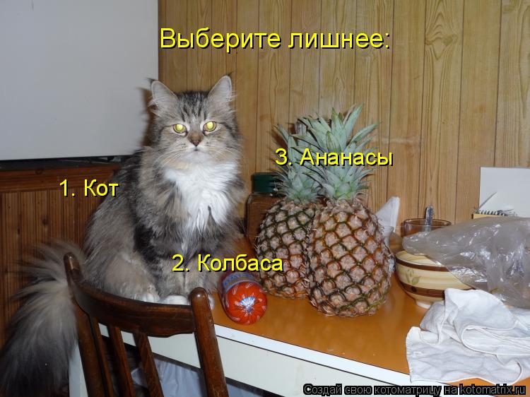 1. Кот 2. Колбаса 3. Ананасы Выберите лишнее:... Котоматрица: 1. Кот 2. Колбаса 3. Ананасы Выберите лишнее: