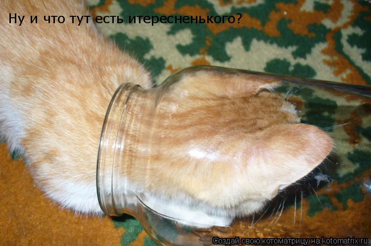 Ну и что тут есть итересненького?... Котоматрица: Ну и что тут есть итересненького?