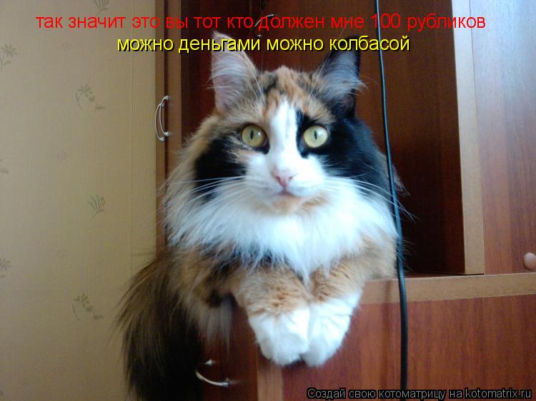 так значит это вы тот кто должен мне 100 рубликов можно деньгами можно колбасой... Котоматрица: так значит это вы тот кто должен мне 100 рубликов можно деньгами можно колбасой