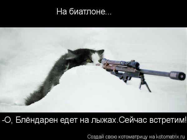 На биатлоне... -О, Блёндарен едет на лыжах.Сейчас встретим!... Котоматрица: На биатлоне... -О, Блёндарен едет на лыжах.Сейчас встретим!