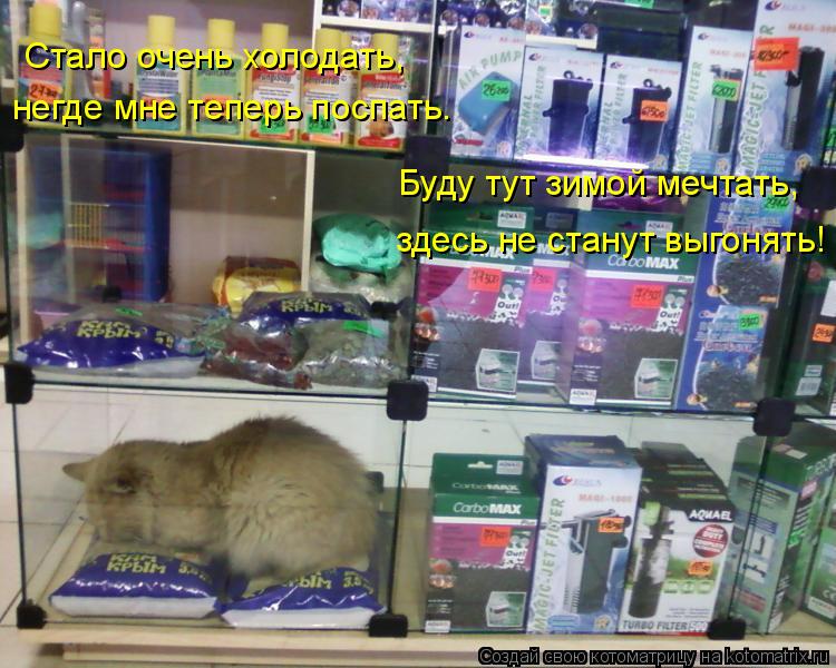 Стало очень холодать, негде мне теперь поспать. Буду тут зимой мечтать, здесь не станут выгонять!... Котоматрица: Стало очень холодать, негде мне теперь поспать. Буду тут зимой мечтать, здесь не станут выгонять!