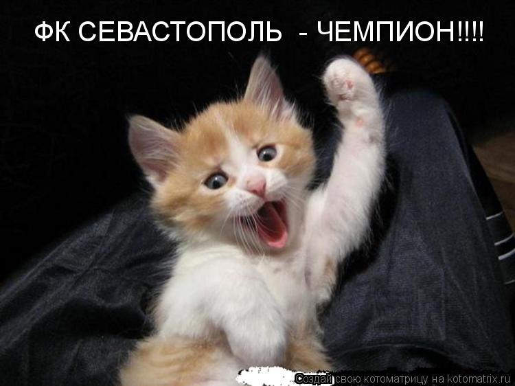 ФК СЕВАСТОПОЛЬ - ЧЕМПИОН!!!!... Котоматрица: ФК СЕВАСТОПОЛЬ - ЧЕМПИОН!!!!