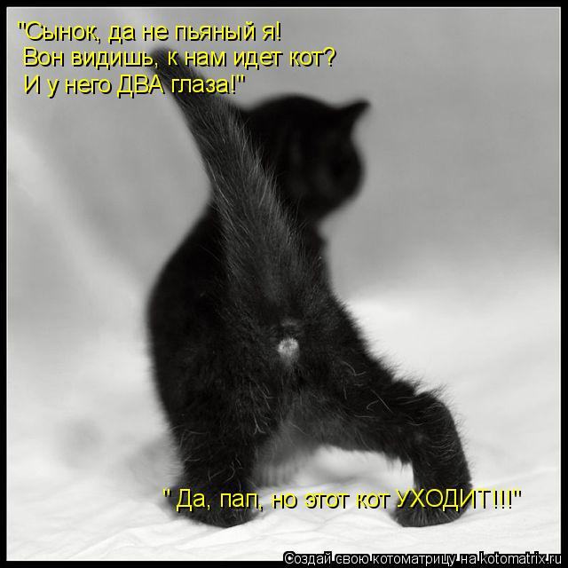 "Сынок, да не пьяный я! Вон видишь, к нам идет кот? И у него ДВА глаза!" " Да, пап, но этот кот УХОД... Котоматрица: "Сынок, да не пьяный я! Вон видишь, к нам идет кот? И у него ДВА глаза!" " Да, пап, но этот кот УХОДИТ!!!"