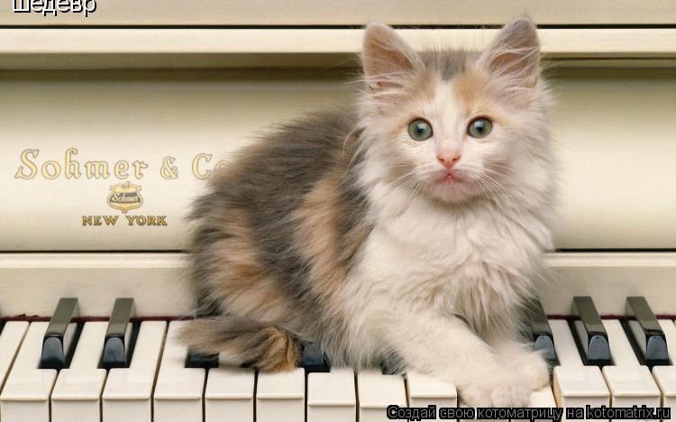 шедевр... Котоматрица: шедевр