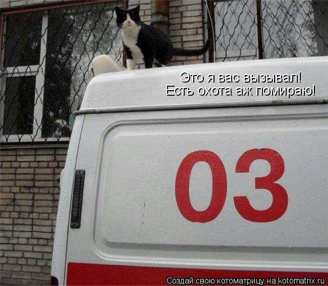 Это я вас вызывал! Есть охота аж помираю!... Котоматрица: Это я вас вызывал! Есть охота аж помираю!