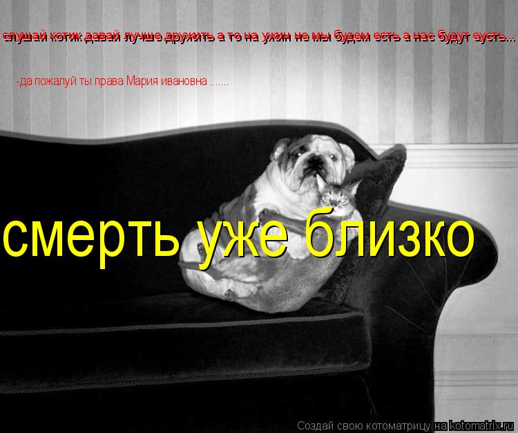 слушай котик давай лучше дружить а то на ужин не мы будем есть а нас будут еусть... слушай котик дава... Котоматрица: слушай котик давай лучше дружить а то на ужин не мы будем есть а нас будут еусть... слушай котик давай лучше дружить а то на ужин не мы будем е