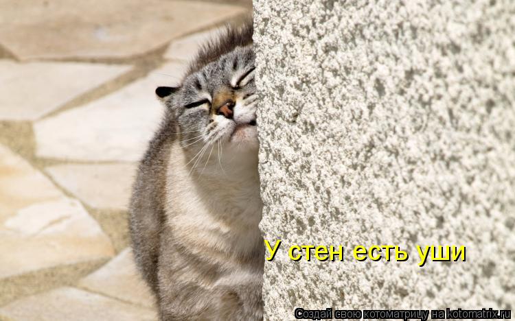 У стен есть уши... Котоматрица: У стен есть уши