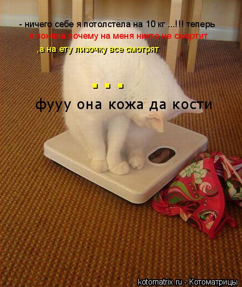 - ничего себе я потолстела на 10 кг ...!!! теперь я поняла почему на меня никто не смортит ,а на ету ... Котоматрица: - ничего себе я потолстела на 10 кг ...!!! теперь я поняла почему на меня никто не смортит ,а на ету лизочку все смотрят ... фууу она кожа да кости