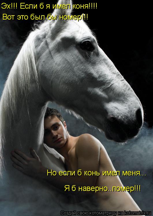 Вот это был бы номер!!! Эх!!! Если б я имел коня!!!! Но если б конь имел меня... Я б наверно..помер!!... Котоматрица: Вот это был бы номер!!! Эх!!! Если б я имел коня!!!! Но если б конь имел меня... Я б наверно..помер!!!