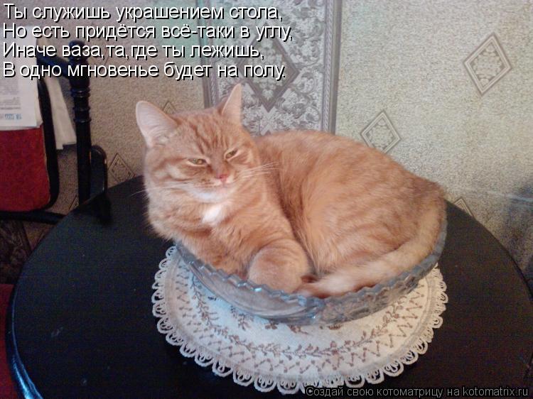 Ты служишь украшением стола, Но есть придётся всё-таки в углу, Иначе ваза,та,где ты лежишь, В одно мг... Котоматрица: Ты служишь украшением стола, Но есть придётся всё-таки в углу, Иначе ваза,та,где ты лежишь, В одно мгновенье будет на полу.