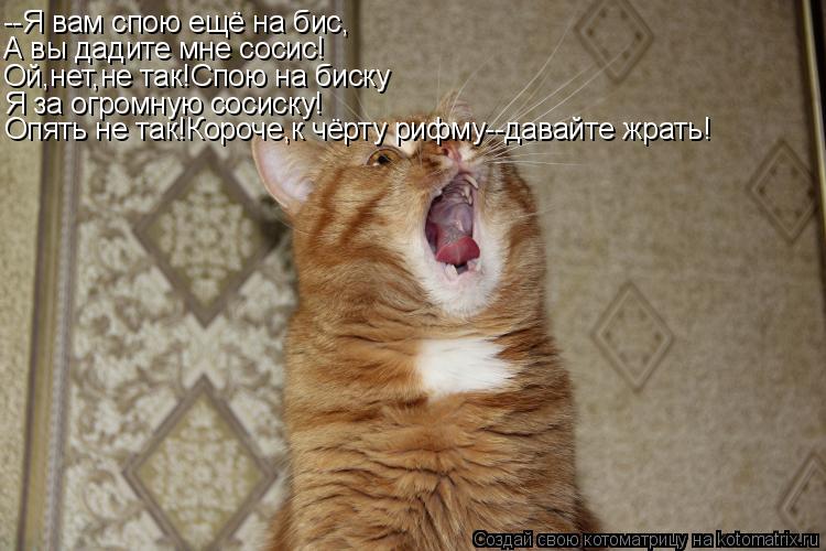 --Я вам спою ещё на бис, А вы дадите мне сосис! Ой,нет,не так!Спою на биску Я за огромную сосиску! Оп... Котоматрица: --Я вам спою ещё на бис, А вы дадите мне сосис! Ой,нет,не так!Спою на биску Я за огромную сосиску! Опять не так!Короче,к чёрту рифму--давайте жра