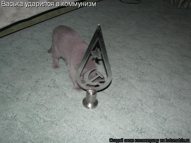Васька ударился в коммунизм... Котоматрица: Васька ударился в коммунизм