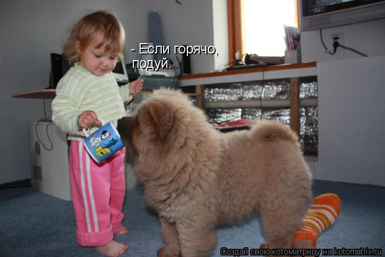 - Если горячо, подуй.... Котоматрица: - Если горячо, подуй.