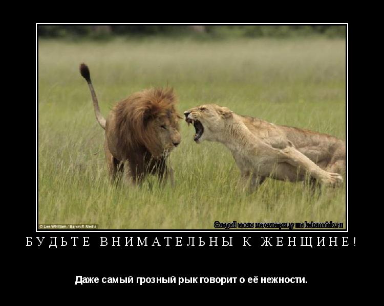 Будьте внимательны к женщине! Даже самый грозный рык говорит о её нежности.... Котоматрица: Будьте внимательны к женщине! Даже самый грозный рык говорит о её нежности.