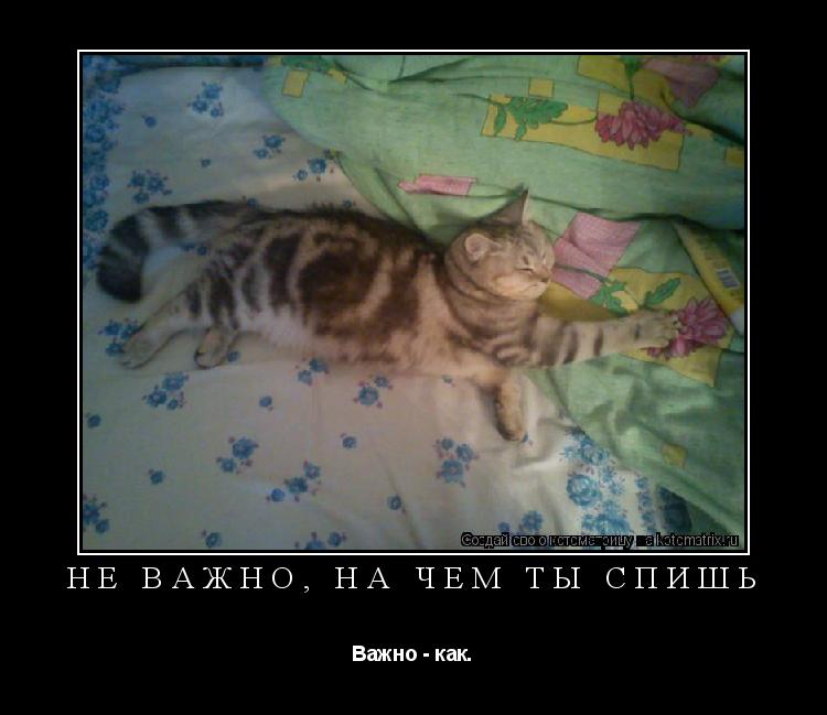 Не важно, на чем ты спишь Важно - как.... Котоматрица: Не важно, на чем ты спишь Важно - как.