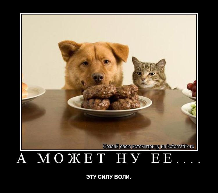 Котоматрица: А может ну её.... ЭТУ СИЛУ ВОЛИ.