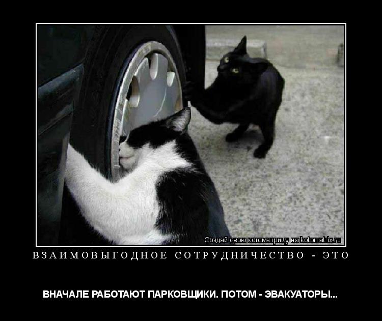 Котоматрица: ВЗАИМОВЫГОДНОЕ СОТРУДНИЧЕСТВО - ЭТО ВНАЧАЛЕ РАБОТАЮТ ПАРКОВЩИКИ. ПОТОМ - ЭВАКУАТОРЫ...