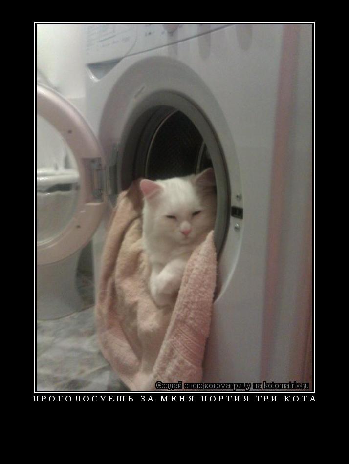 проголосуешь за меня портия три кота ... Котоматрица: проголосуешь за меня портия три кота