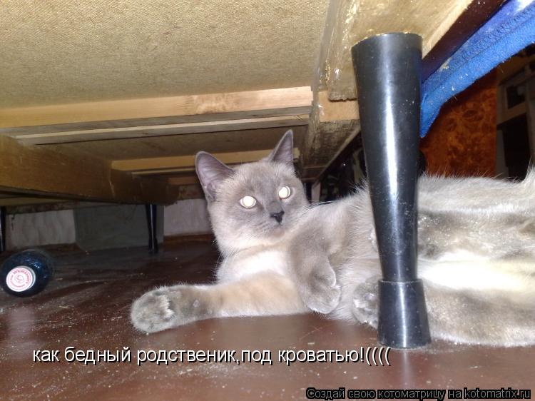 как бедный родственик,под кроватью!((((... Котоматрица: как бедный родственик,под кроватью!((((