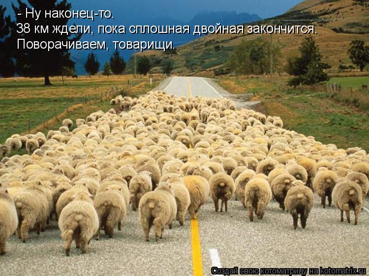 - Ну наконец-то. 38 км ждели, пока сплошная двойная закончится. Поворачиваем, товарищи.... Котоматрица: - Ну наконец-то. 38 км ждели, пока сплошная двойная закончится. Поворачиваем, товарищи.