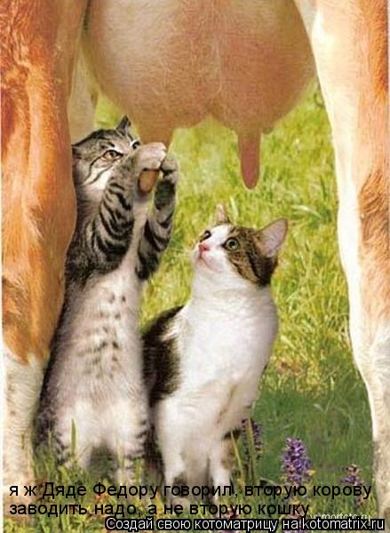 я ж Дяде Федору говорил, вторую корову заводить надо, а не вторую кошку... Котоматрица: я ж Дяде Федору говорил, вторую корову заводить надо, а не вторую кошку